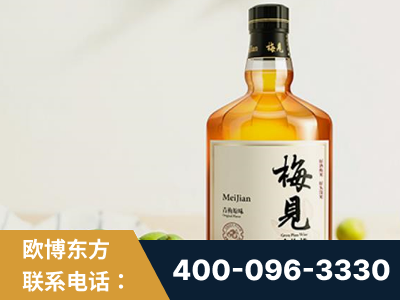 诸暨-梅见青梅酒